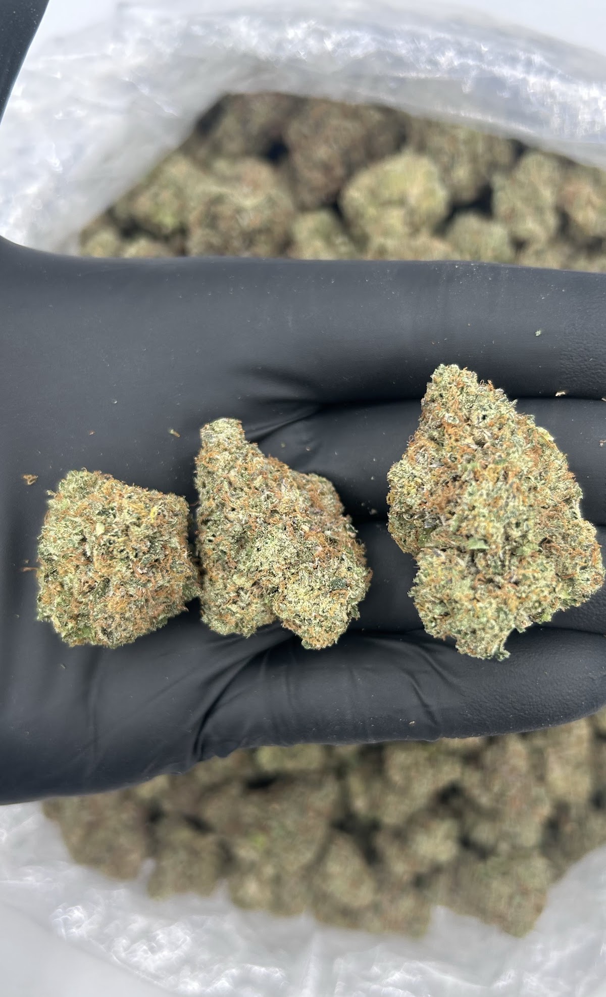 Candy Runtz — wholesale sativa edible