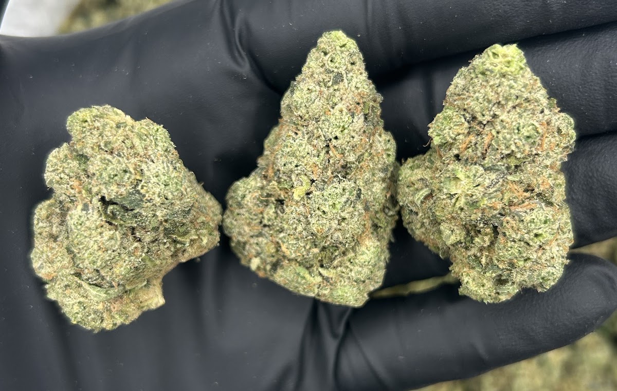 Ghost Vapor OG — wholesale indica flower