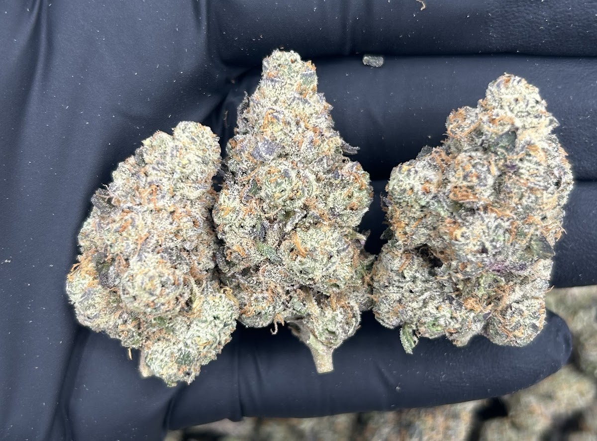 Mule Fuel OG — wholesale indica flower