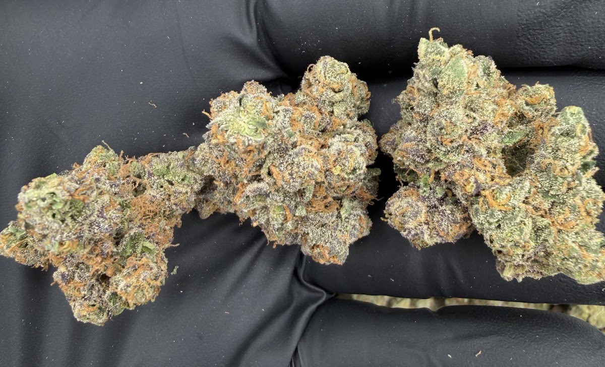Lemon Cherry Runtz — wholesale hybrid flower