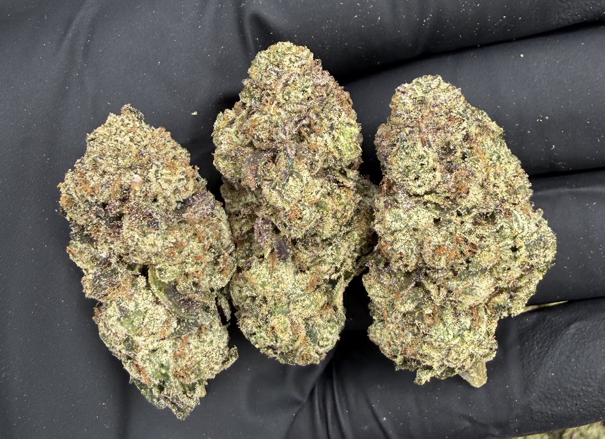 Grape Gushers — wholesale hybrid flower