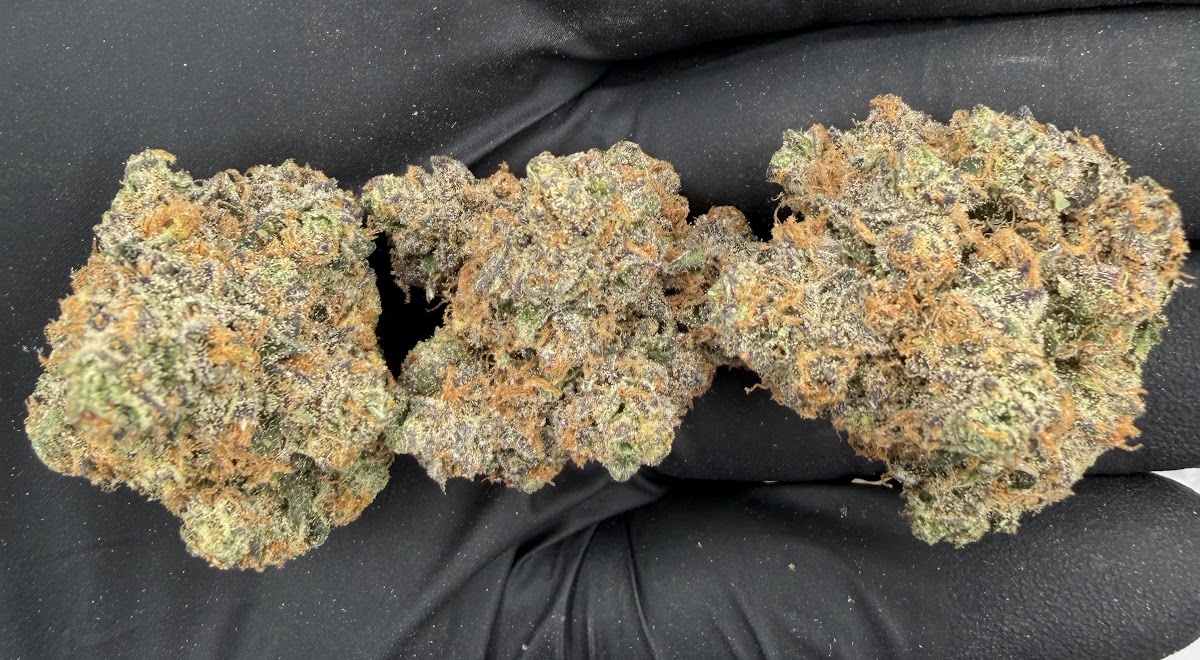 Orange Skittles — wholesale sativa flower