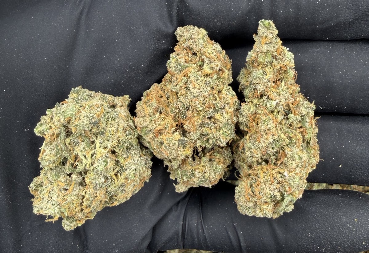 Strawberry Cough — wholesale sativa flower