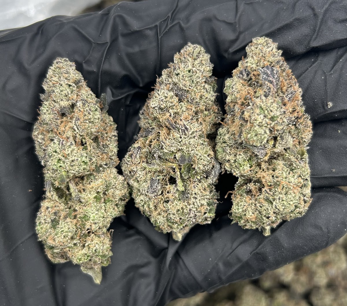 Any Day — wholesale indica flower