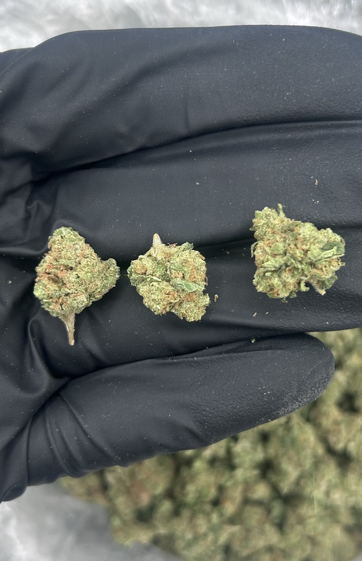 Jelly Zonut SMALLS — wholesale indica smalls