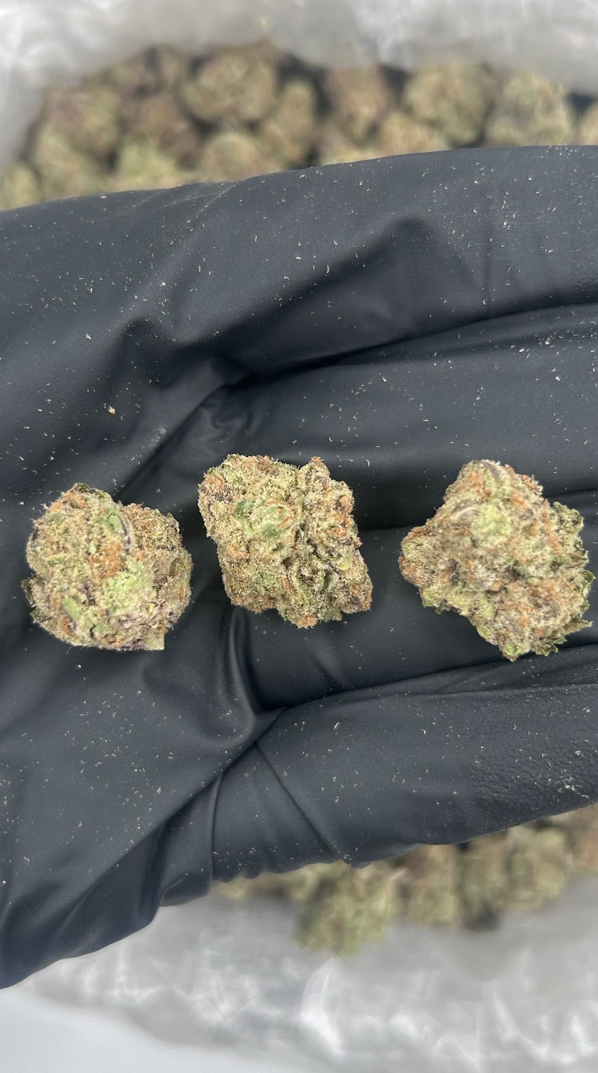 Blueberry Pancake SMALLS — wholesale hybrid smalls