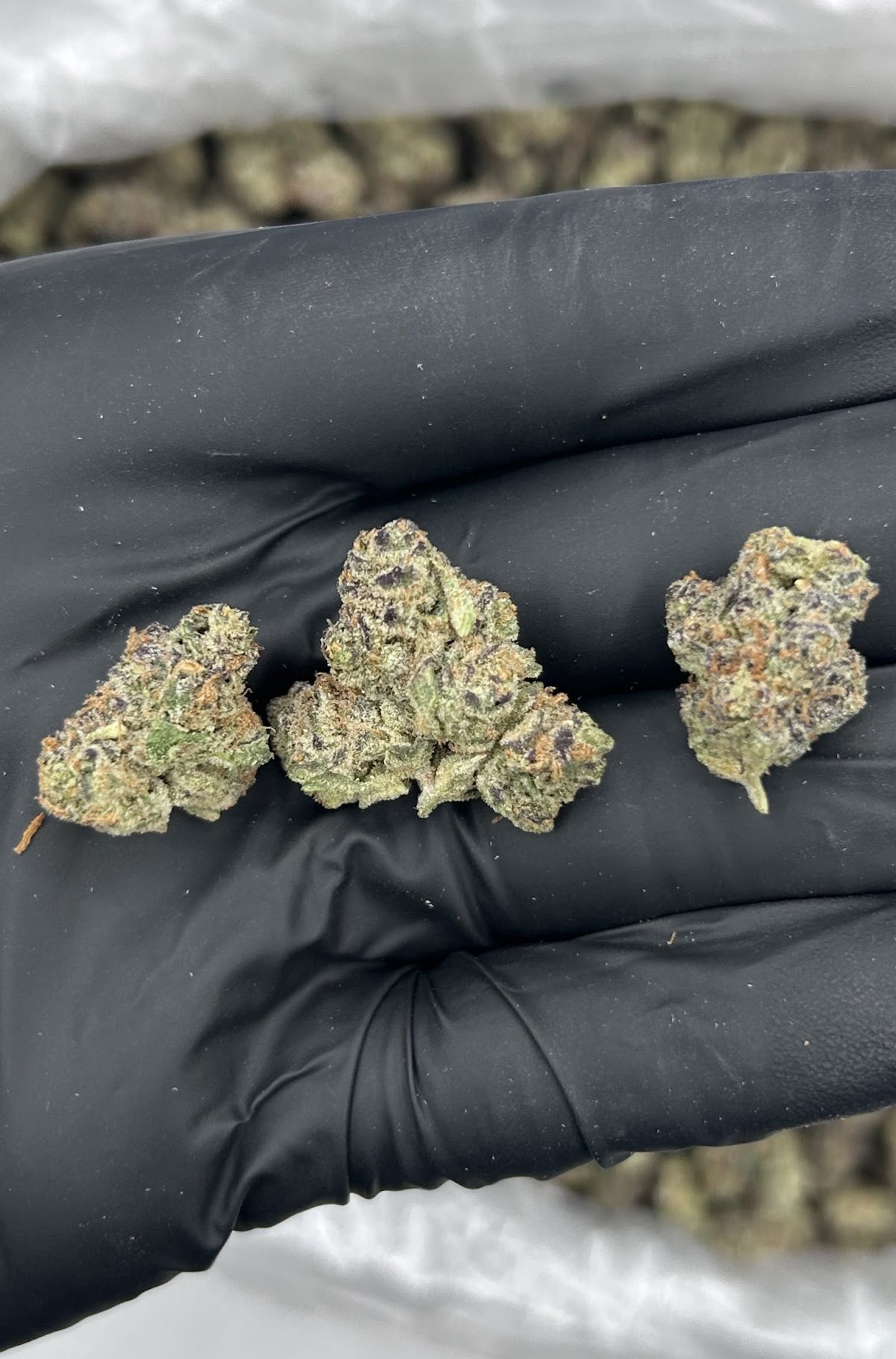 Applescotti SMALLS — wholesale hybrid smalls