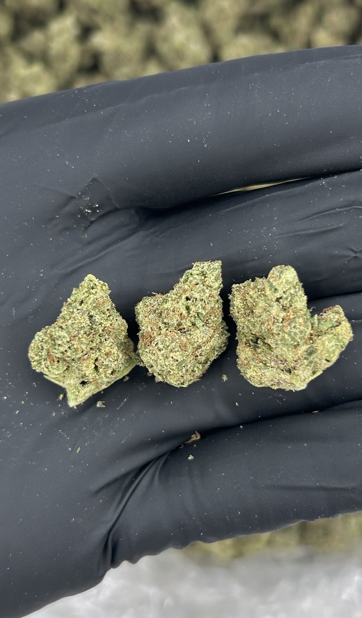Pinyatti SMALLS — wholesale sativa smalls