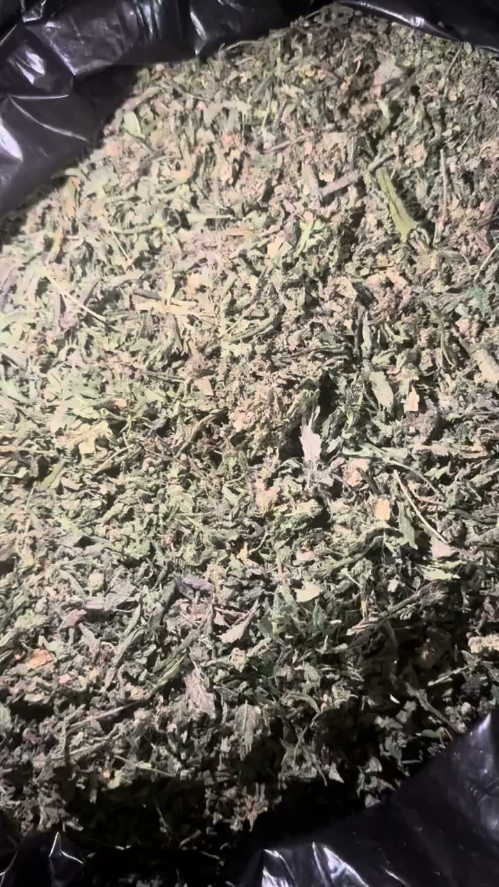 Space Candy — wholesale hybrid edible
