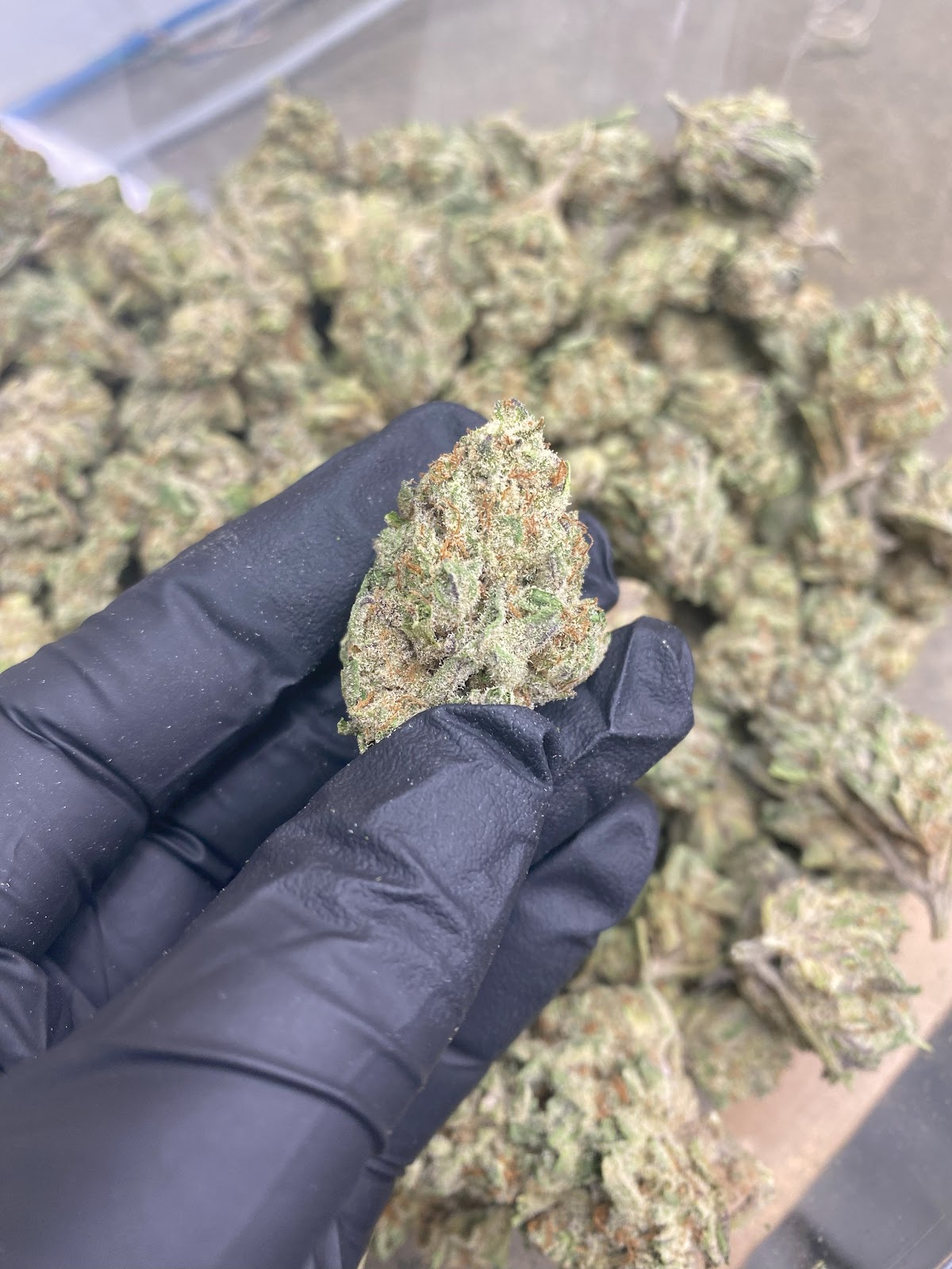 1BE — wholesale hemp product main photograph