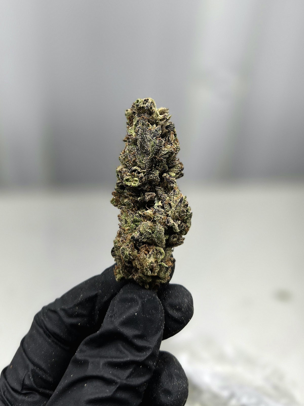 1SO — wholesale hemp product main photograph