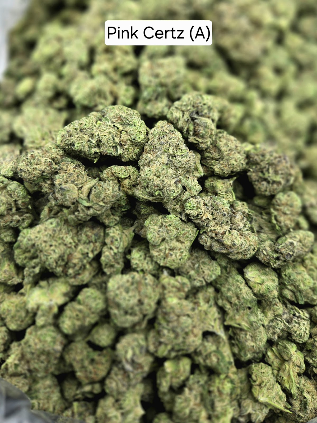 1SO — wholesale hybrid flower