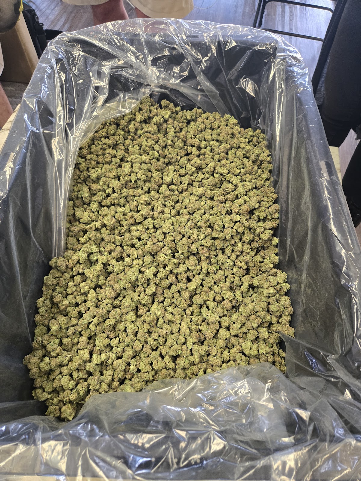 1SO — wholesale hybrid flower