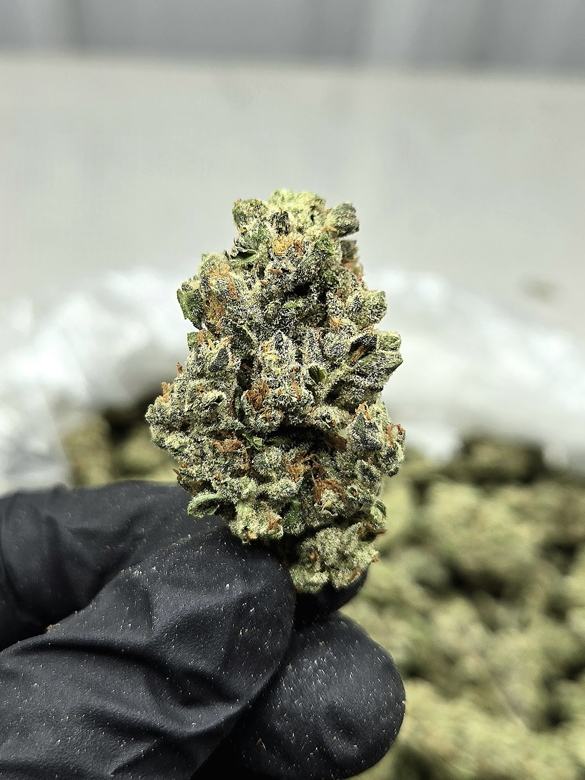 1SO — wholesale hybrid edible