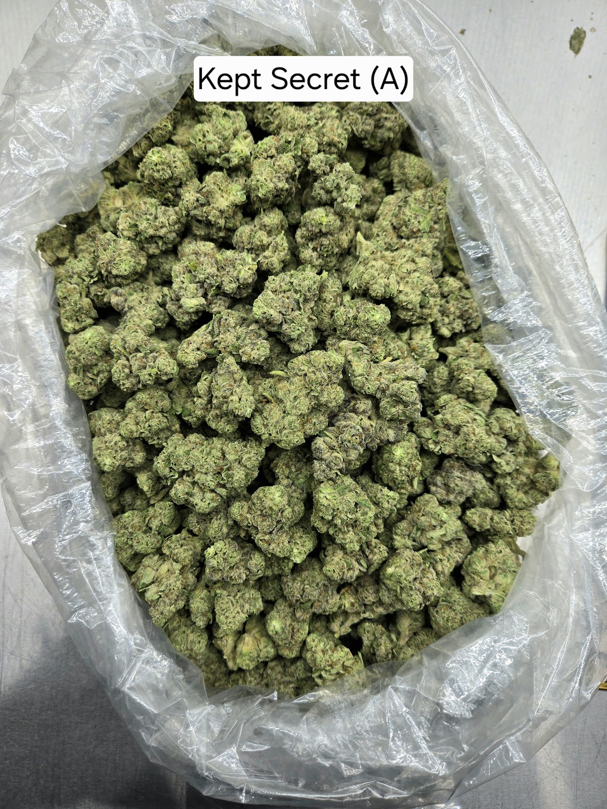 1SO — wholesale hybrid flower