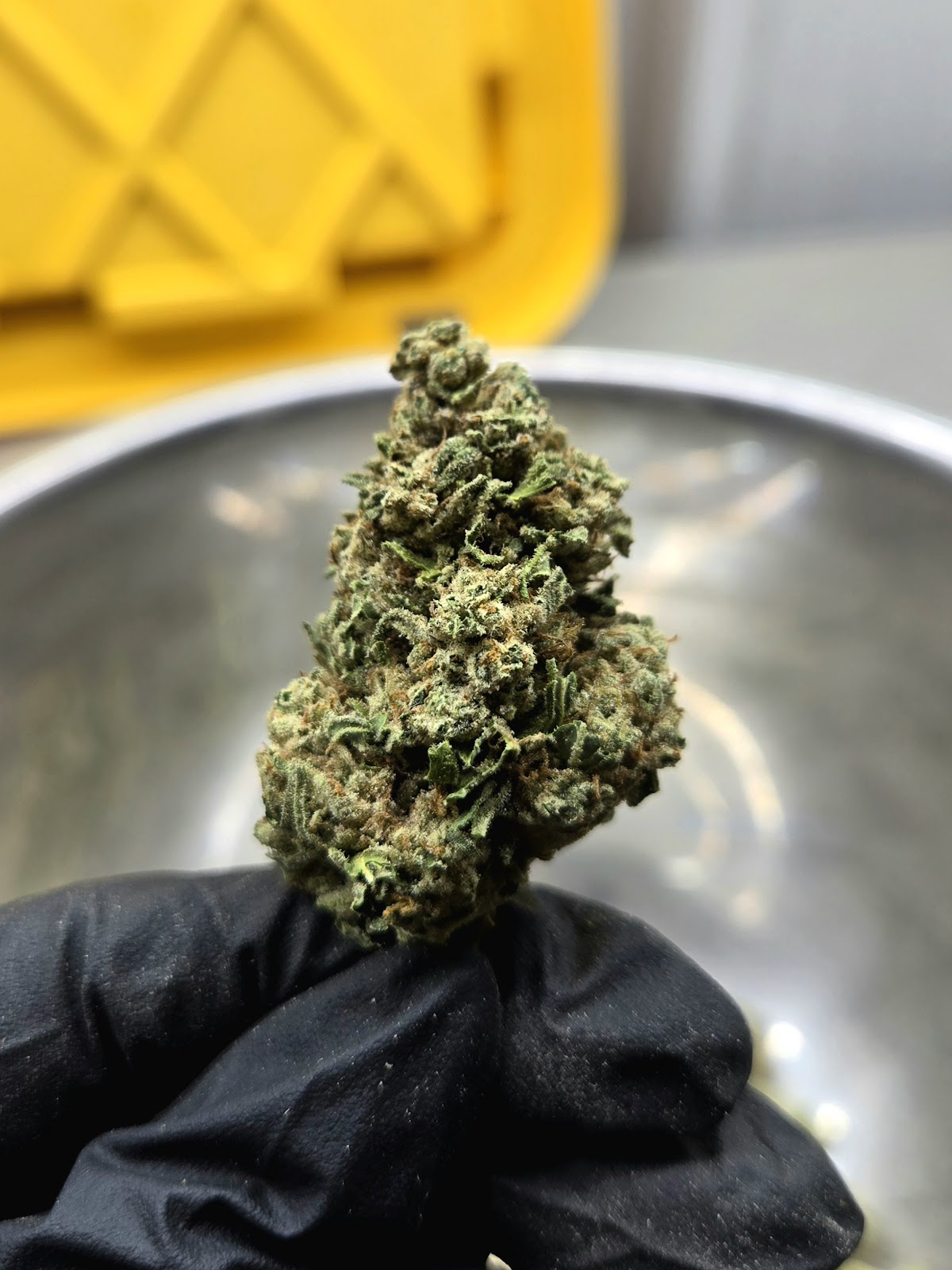 1SO — wholesale hybrid flower