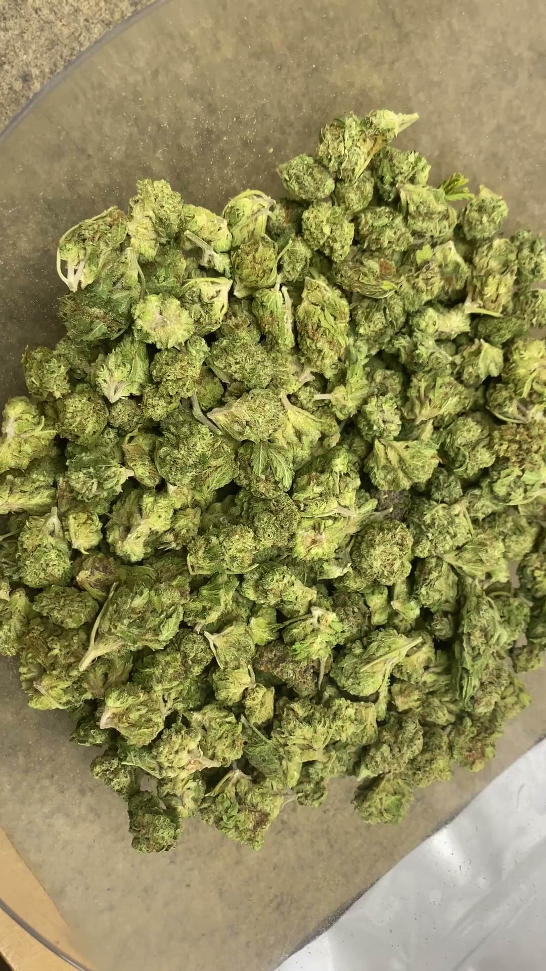 1BE — wholesale hemp product main photograph