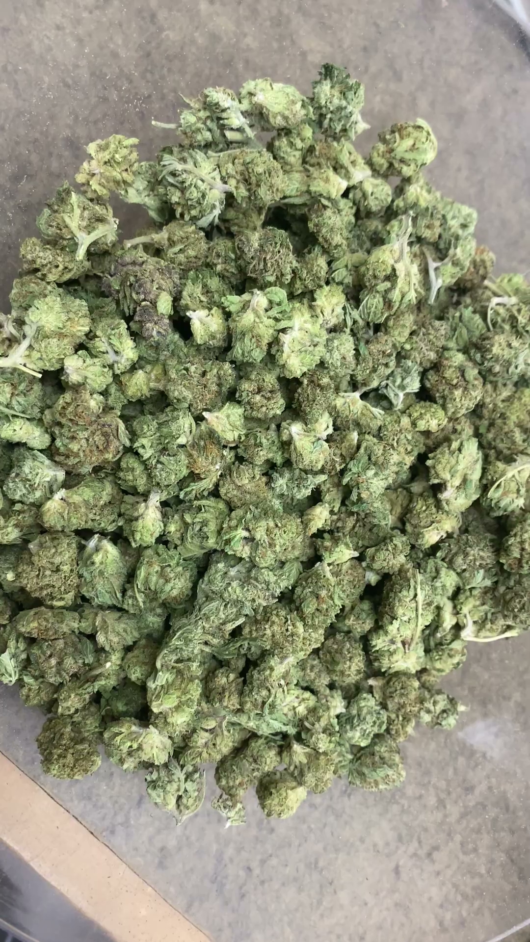 1BE — wholesale hybrid smalls