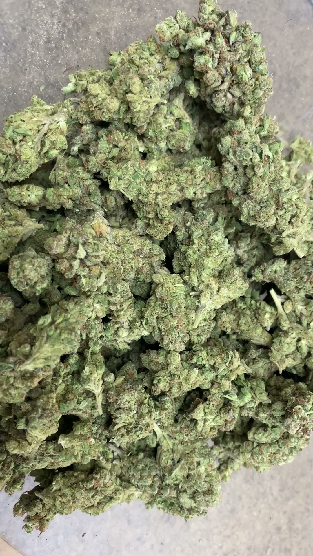 1BE — wholesale hemp product main photograph