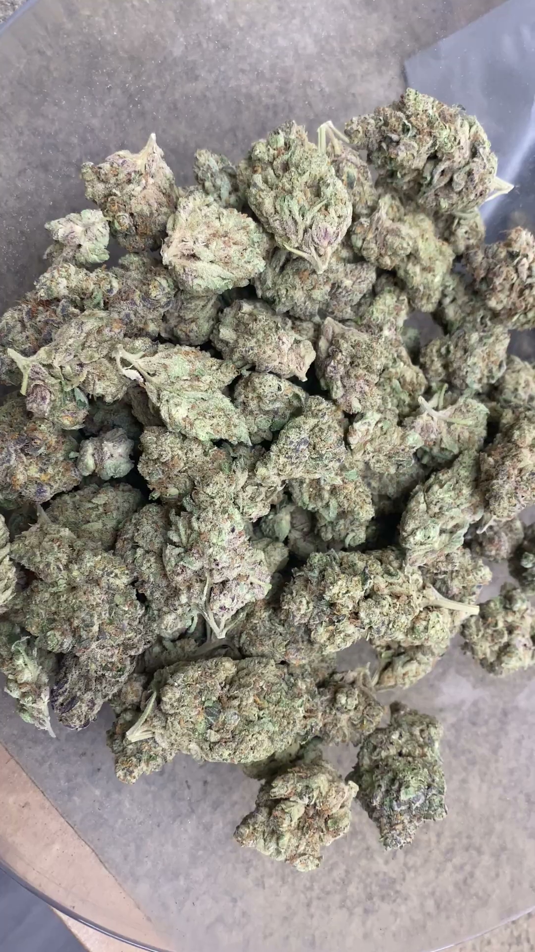 1BE — wholesale hybrid flower