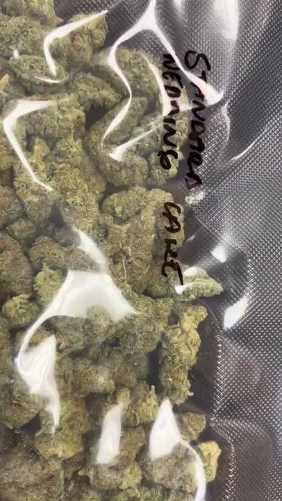 Wedding Cake 1 — wholesale hybrid flower