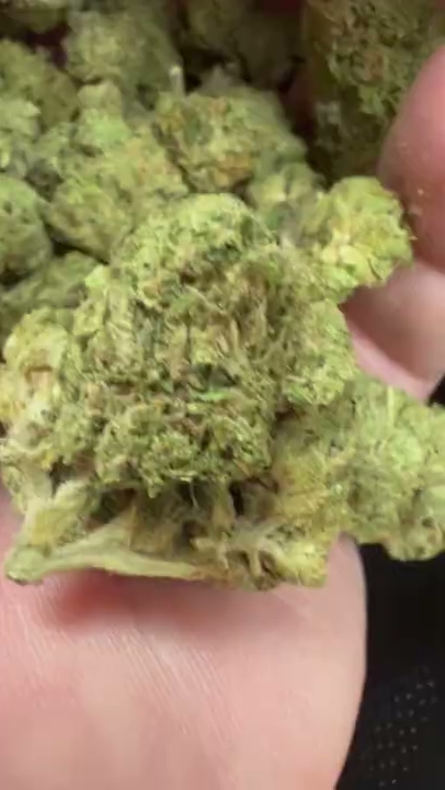 Gary Payton 2 — wholesale hybrid flower