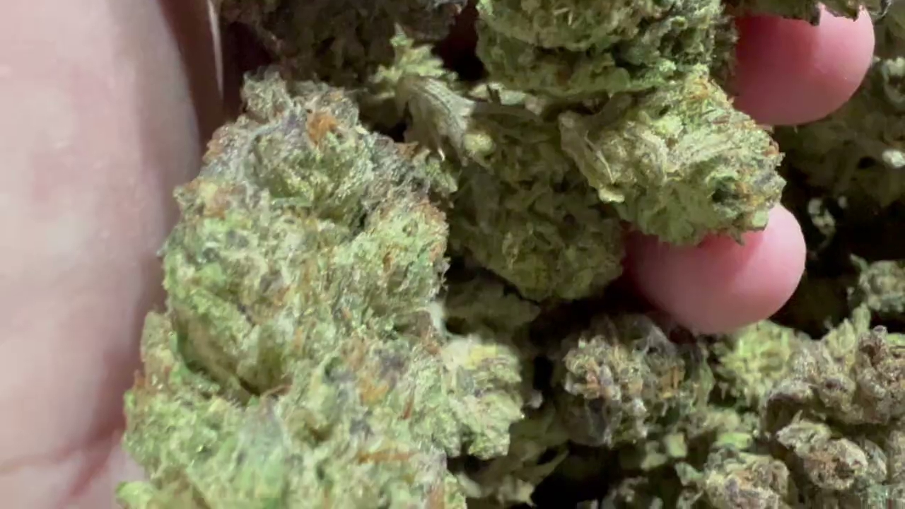 Ice Cream Cookies 2 — wholesale hybrid edible