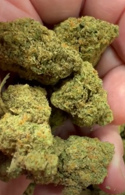 Kush Mintz — wholesale hybrid flower