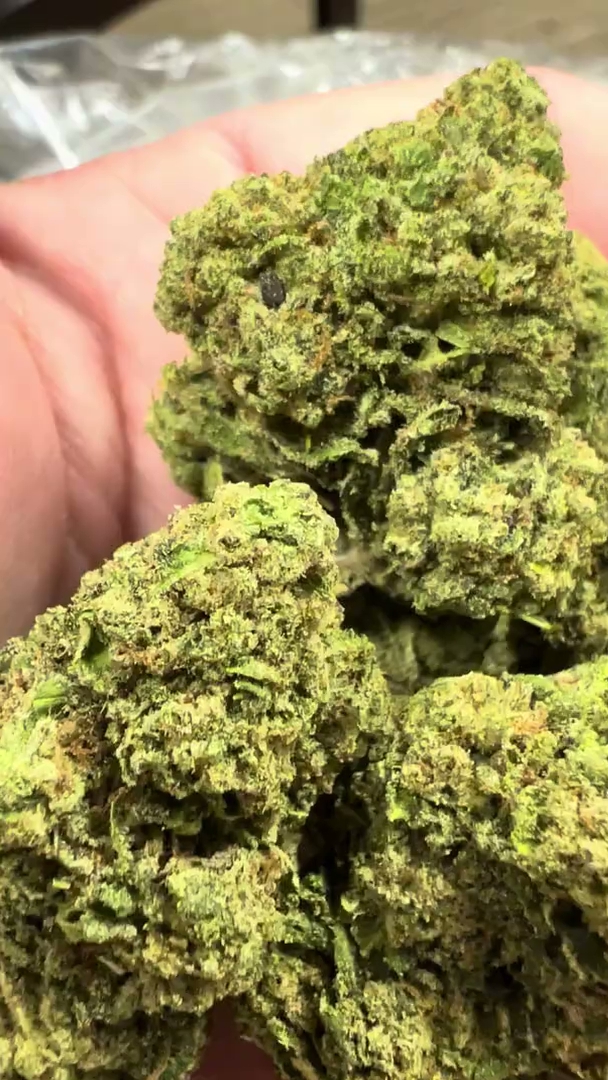 Lemon Punch — wholesale hybrid flower