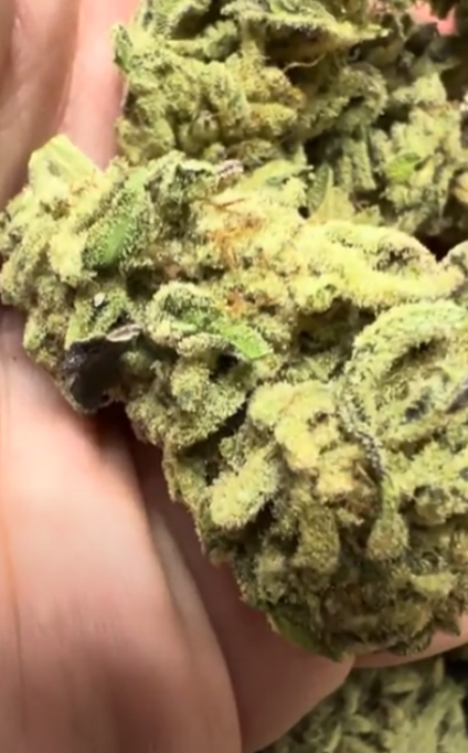 Mac 1 — wholesale hybrid flower
