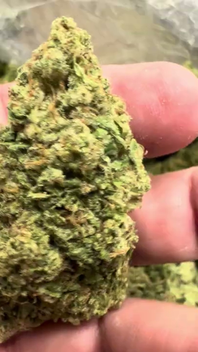 Pineapple 2 — wholesale hybrid flower