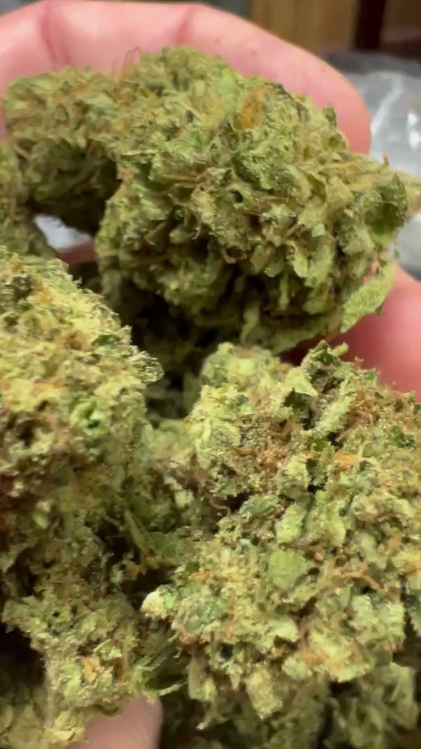 Wedding Cake 2 — wholesale hybrid flower