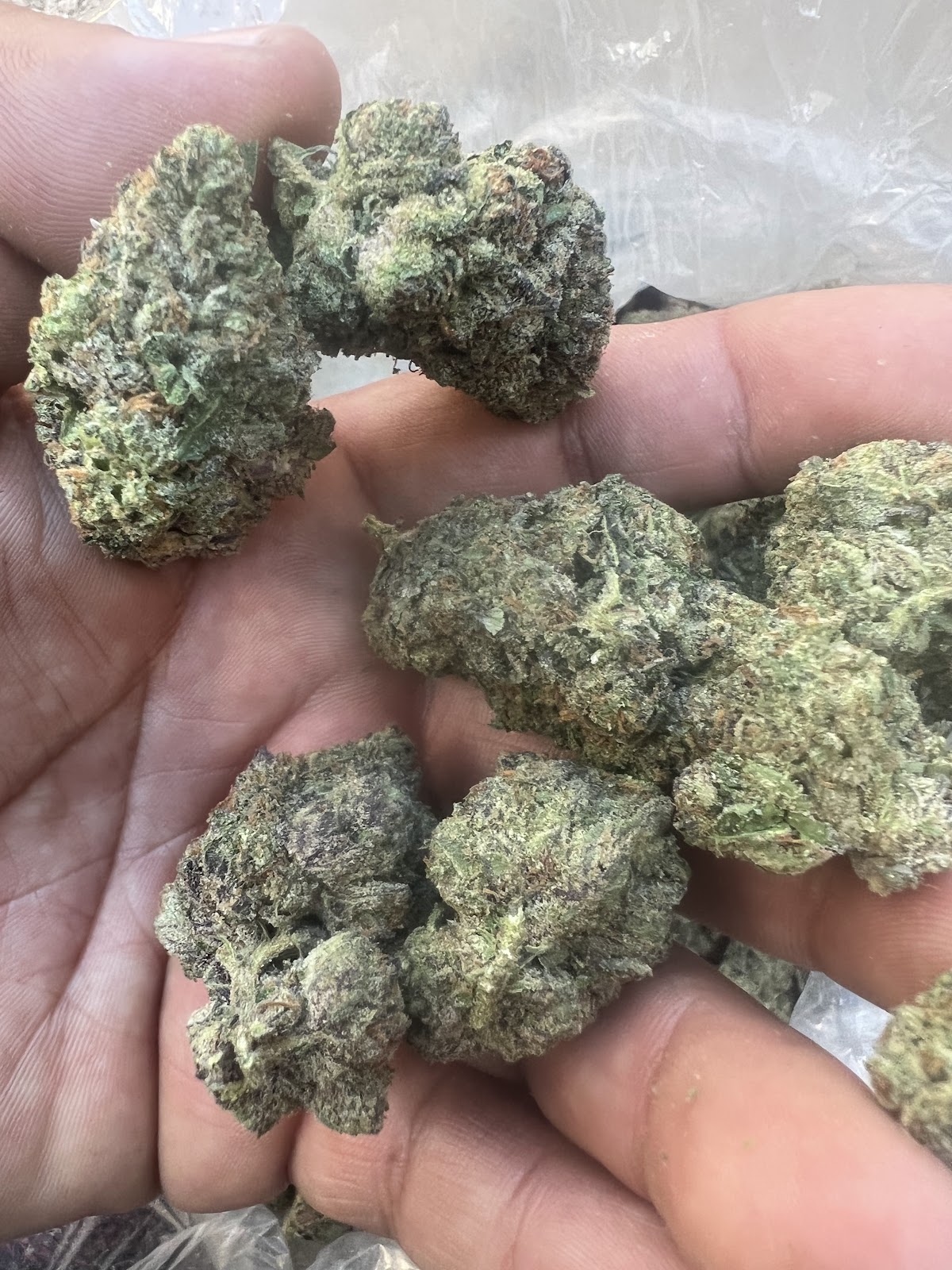 Cherry Gelato — wholesale hybrid flower
