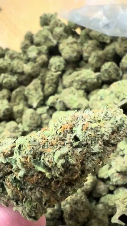Wedding Crasher — wholesale hybrid flower