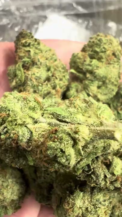 White Runtz — wholesale hybrid flower