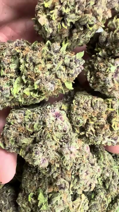 Grape Ape — wholesale hybrid flower