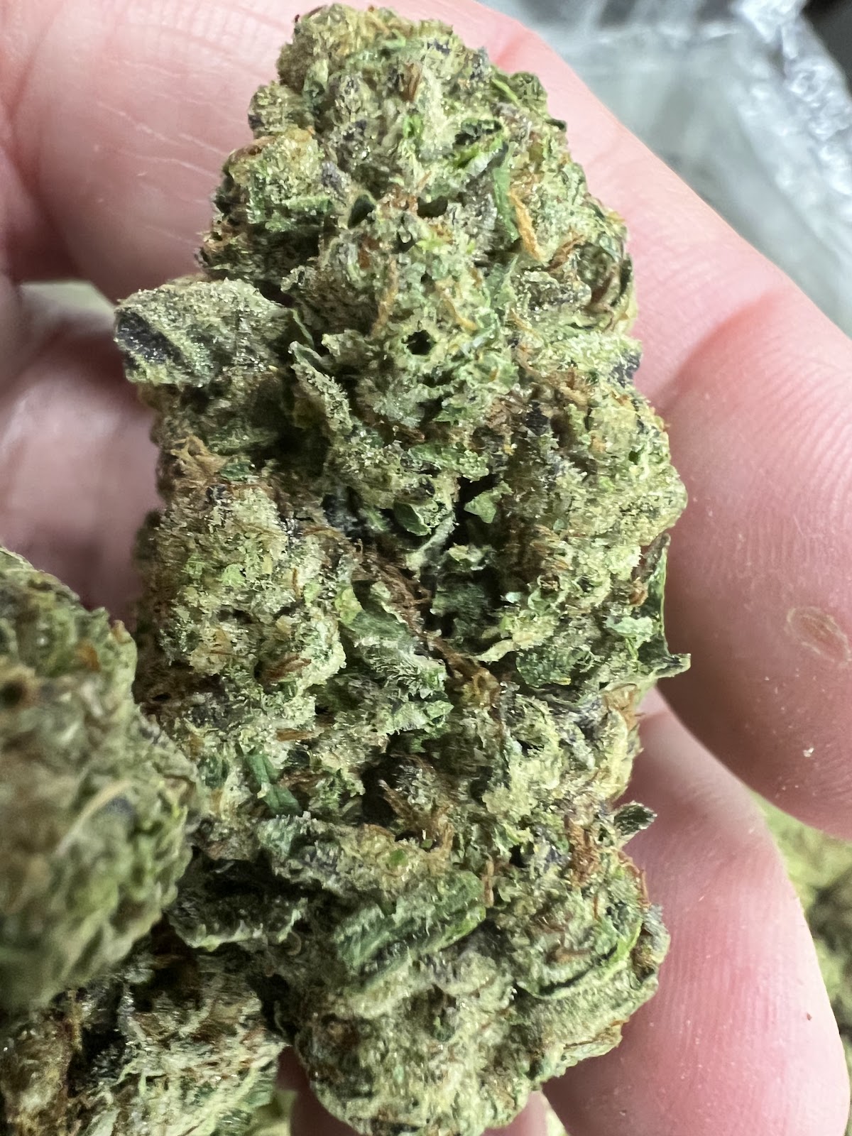 Sky Walker OG — wholesale hybrid flower