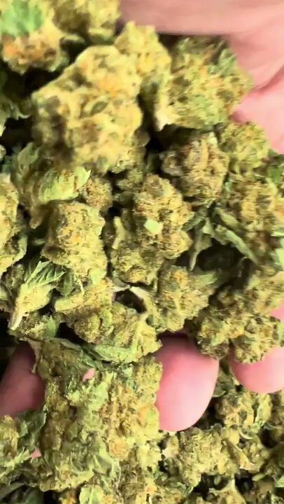 Hardball Pineapple — wholesale hybrid flower