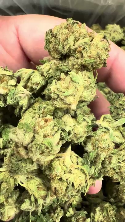 Ice Cream Cookies — wholesale hybrid edible