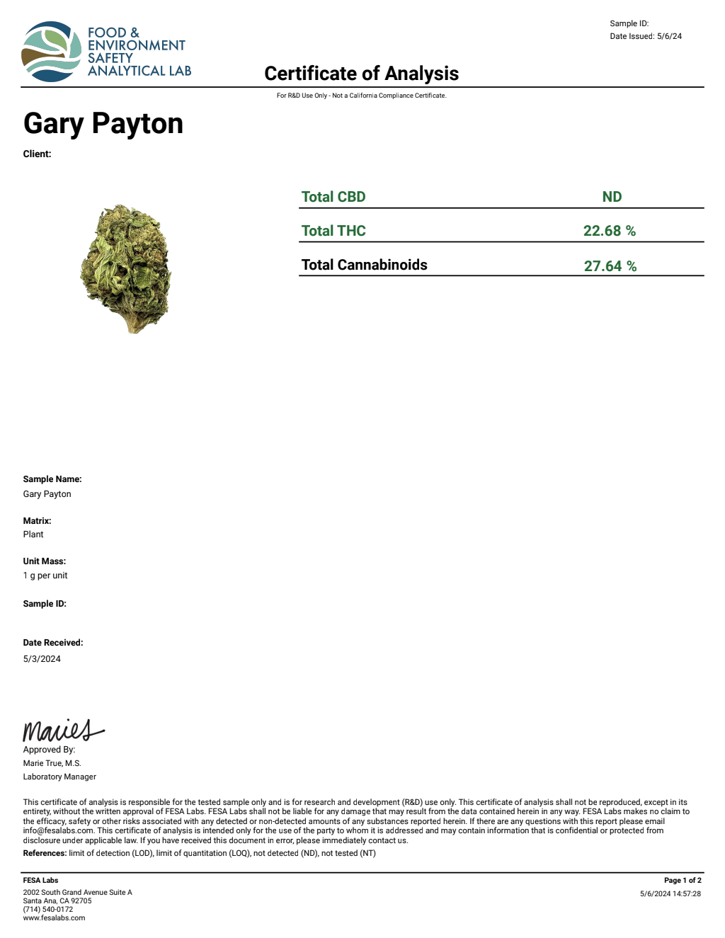 Gary Payton — wholesale hybrid flower