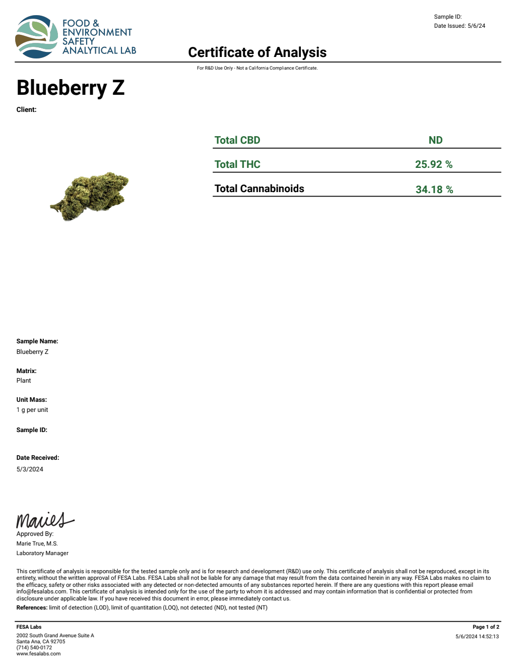 Blueberry Z — wholesale hybrid flower
