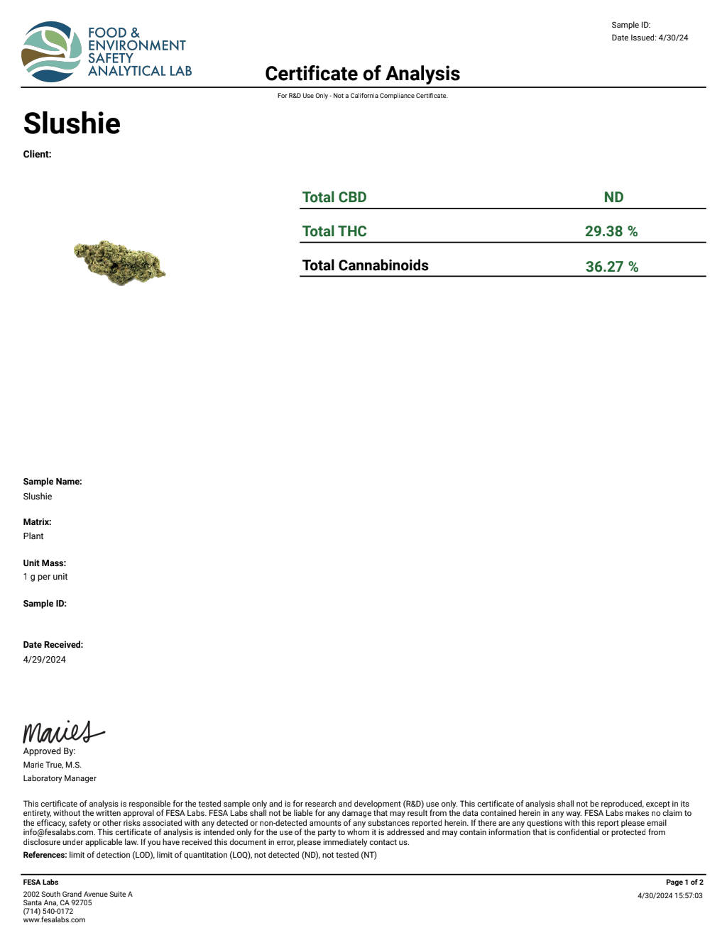 Slushie — wholesale hybrid flower