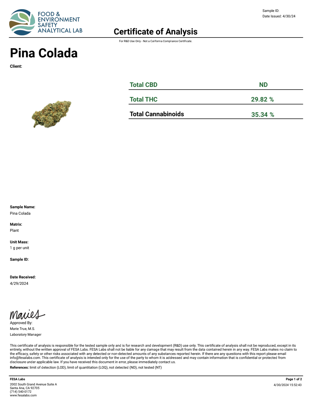 Pina Colada — wholesale hybrid flower