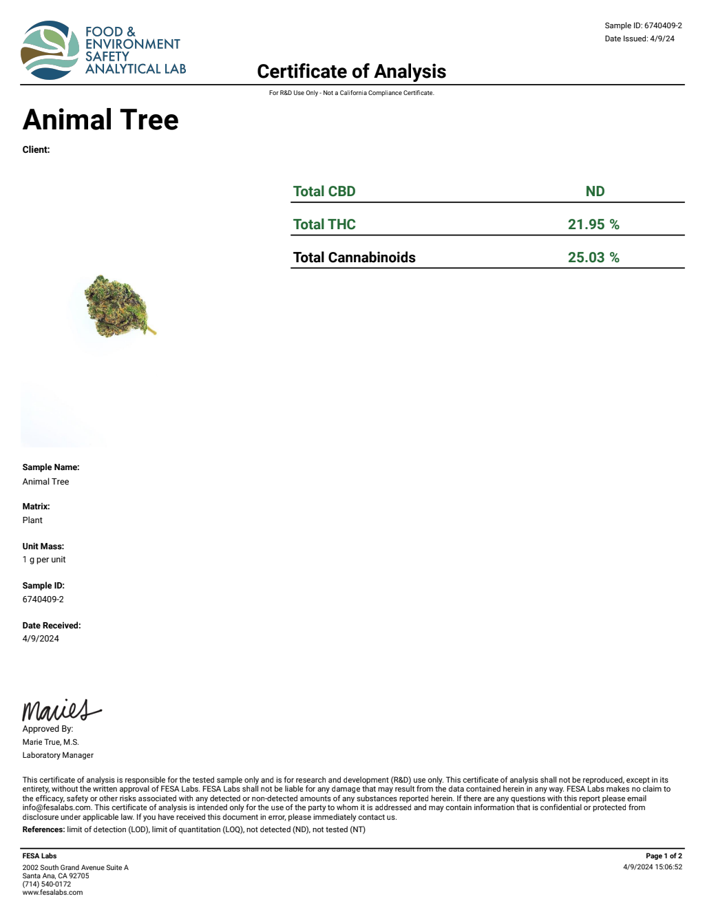 ANIMAL TREE — wholesale hybrid flower