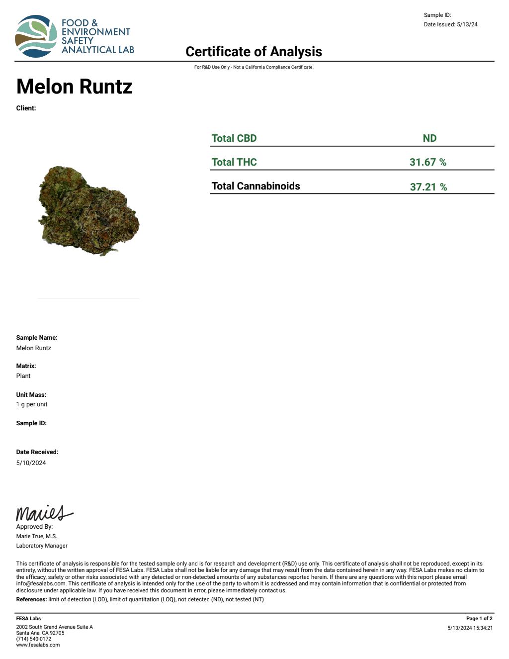 MELON RUNTZ — wholesale hybrid flower