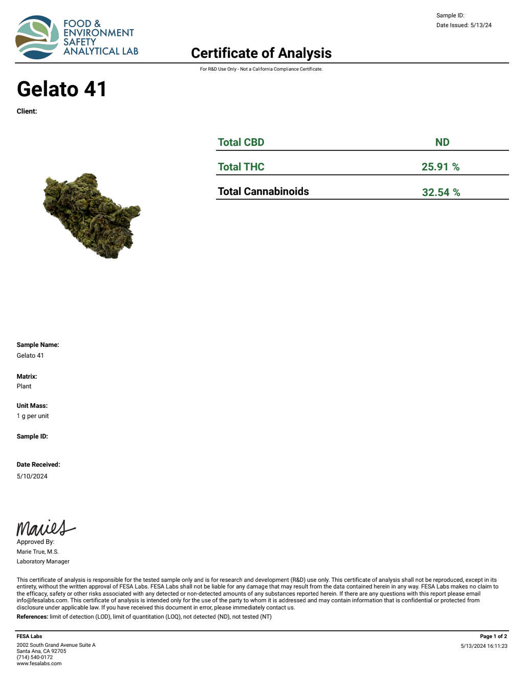 GELATO 41 — wholesale hybrid flower