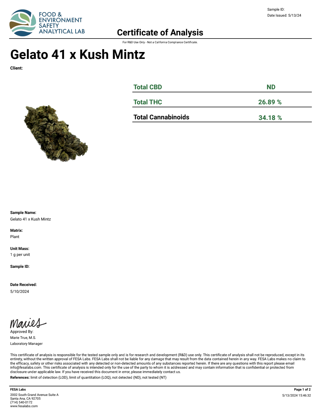 GELATO 41 X KUSH MINTZ — wholesale hybrid flower