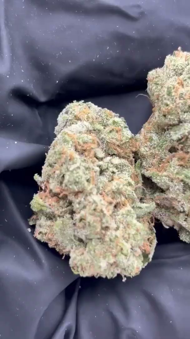 Professor Chaos — wholesale sativa flower