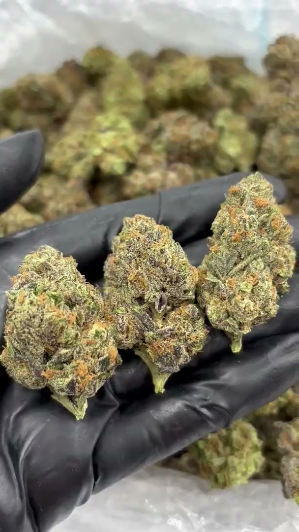 Gelato Float Big — wholesale indica flower