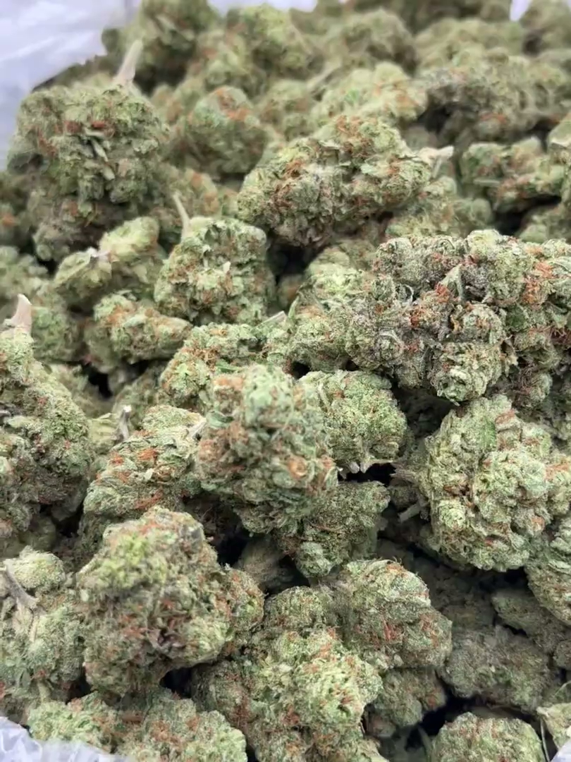 Black Garlic Gelato Big — wholesale hybrid flower